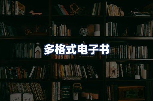 多格式电子书